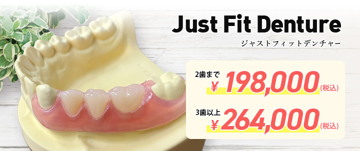 Just Fit Denture ジャストフィットデンチャー(ノンクラスプデンチャー)