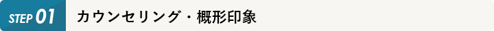 カウンセリング・概形印象