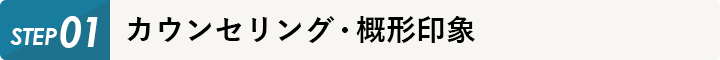 カウンセリング・概形印象